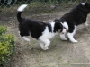 cimg_1546