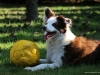 cIMG_7761
