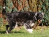 cimg_1046