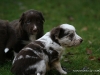 cimg_4432