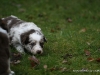 cimg_4436