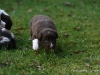 cimg_4443