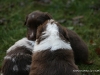 cimg_4451