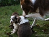 cimg_4476