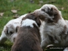 cimg_4506