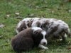 cimg_4507