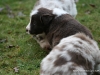 cimg_4516
