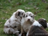 cimg_4518