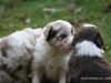 cimg_4521
