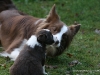 cimg_4536