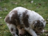 cimg_4544