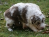 cimg_4545