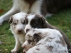 cimg_4552