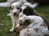 cimg_4553