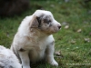 cimg_4556