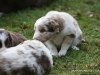cimg_4557