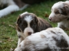 cimg_4559