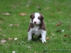 cIMG_1558