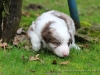 cIMG_1576