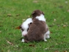 cIMG_1644