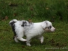 c1IMG_5649