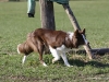 cimg_1480