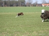 cimg_1492