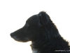 cimg_1686