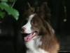 cIMG_7963