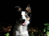 cIMG_7991