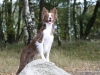 cimg_1291