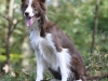 cimg_1555