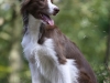 cimg_1557