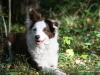 cimg_1560