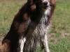 c1IMG_8035