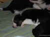 cimg_8932