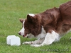 cIMG_2741