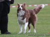 cIMG_2755