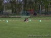 cIMG_2761