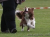 cIMG_2767