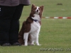 cIMG_2781