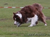 cIMG_2785