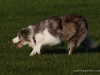 cimg_2171