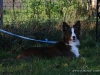 cimg_2207