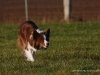 cimg_2219