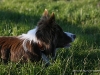 cimg_2224