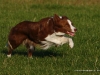 cimg_2245