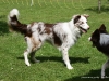 cimg_1483
