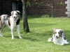 cimg_1551