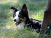 cIMG_5795.jpg